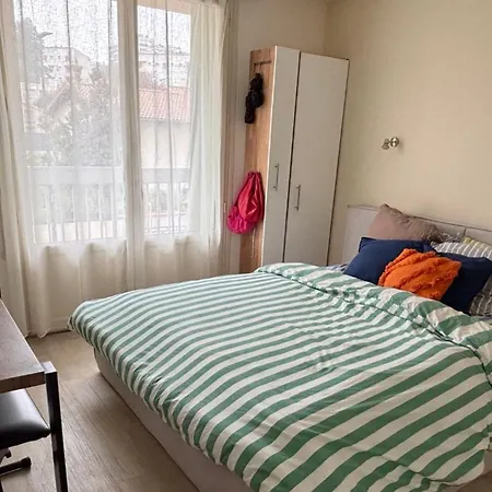 Bright With Balcony And Parking Tolosa